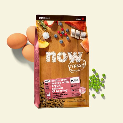 Now Fish Recipe for Adult Dogs 10 kg