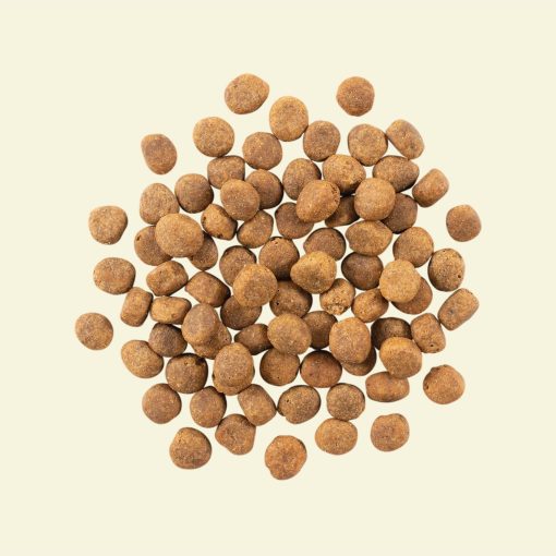 Now Fish Recipe for Adult Dogs 10 kg - Image 2