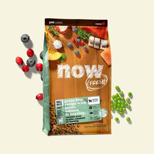 Now Fish Recipe for Small Breed Adult Dogs 2.72 kg