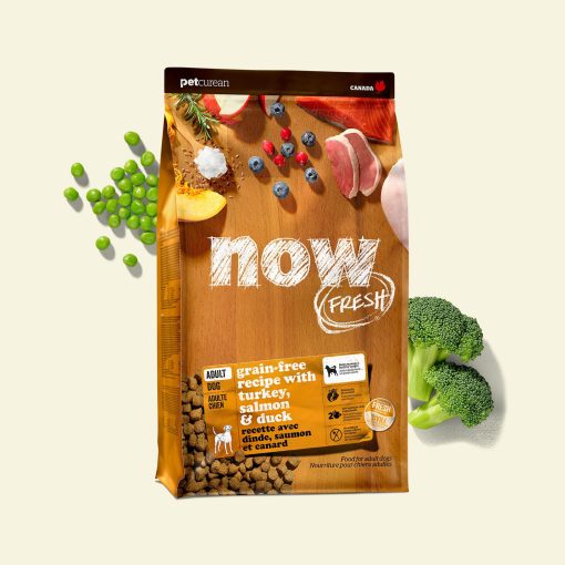 Now Recipe for Adult Dogs 1.6 kg