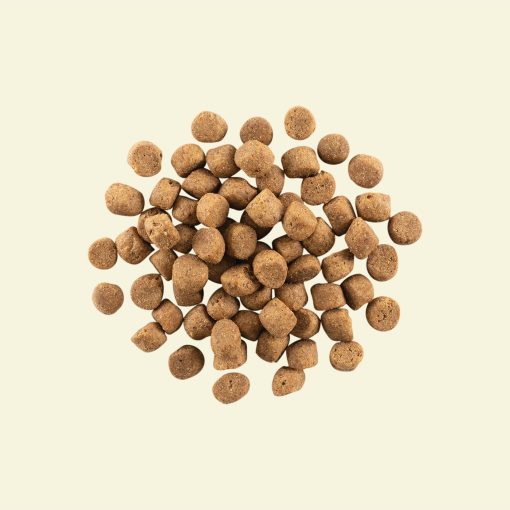 Now Recipe for Adult Dogs 1.6 kg - Image 2