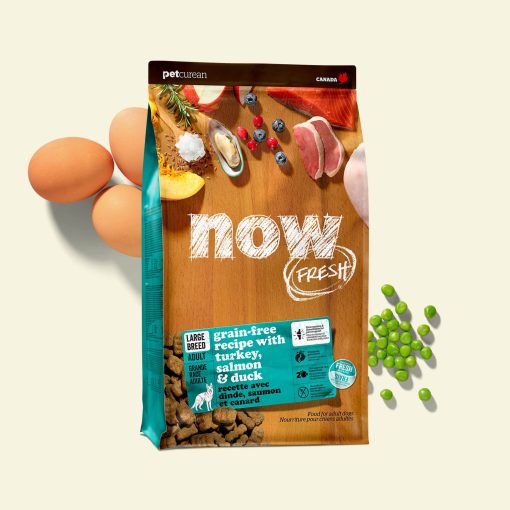 Now Recipe for Large Breed Adult Dogs 5.4 kg