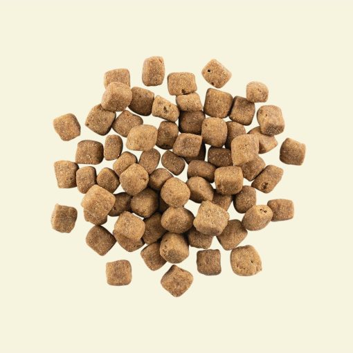 Now Recipe for Large Breed Puppies 11.3 kg - Image 2