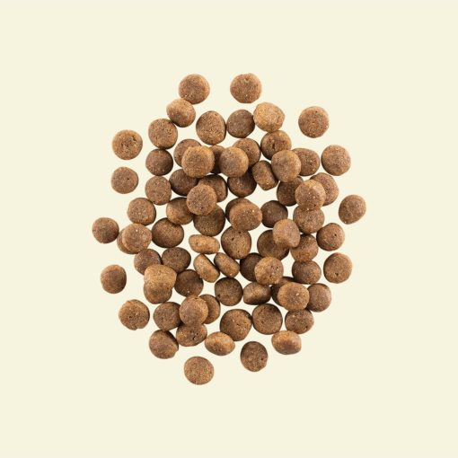 Now fresh Recipe for Puppies 10 kg