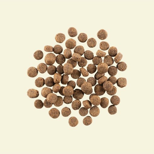 Now Recipe for Senior Dogs 5.44 kg - Image 2