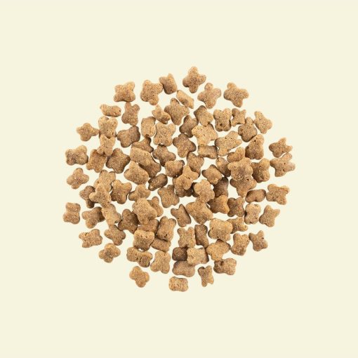 Now Recipe for Small Breed Senior Dogs 10 kg - Image 2