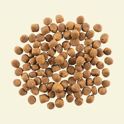 Now Red Meat Recipe for Adult Dogs 1.6 кг - Image 2