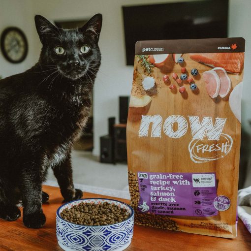 Now Recipe for Senior Cats 1.4 kg - Image 3