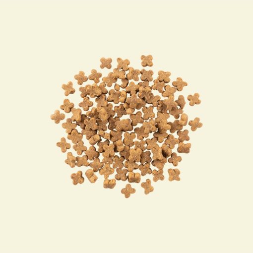 Now Fish Recipe for Small Breed Adult Dogs 2.72 kg - Image 2
