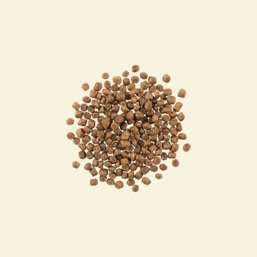 Now Recipe for Kittens 1.4 kg - Image 2