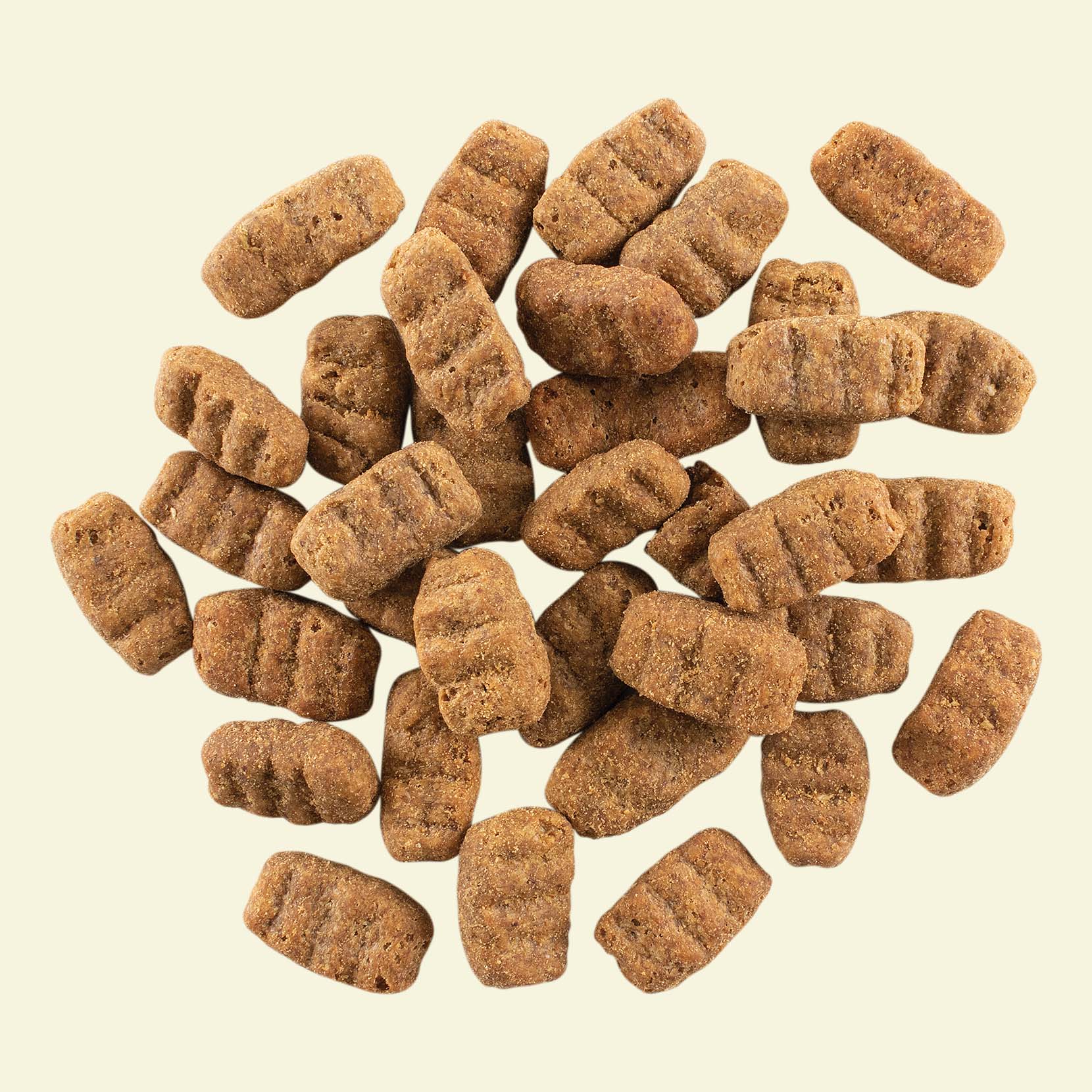 Now Recipe for Large Breed Senior Dogs 11.3 kg - Image 2