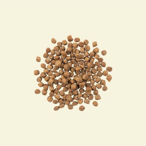 Now Recipe for Senior Cats 1.4 kg - Image 2