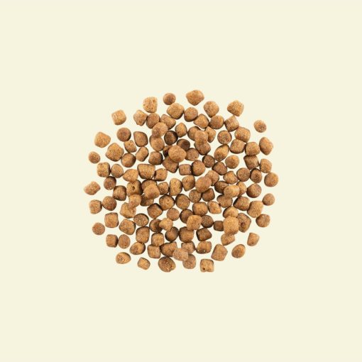 Now Recipe for Small Breed Puppies 2.72 kg - Image 2