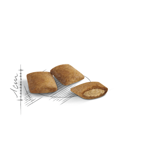 Royal canin Ageing 12+ 4 кг - Image 3