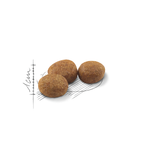 Royal canin Sterilised 37 4 kg - Image 3
