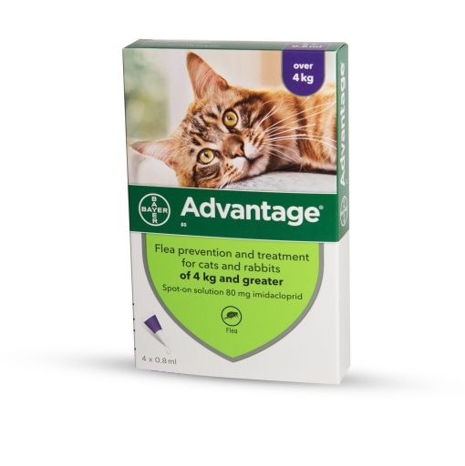 Advantage חתול מעל 4kg
