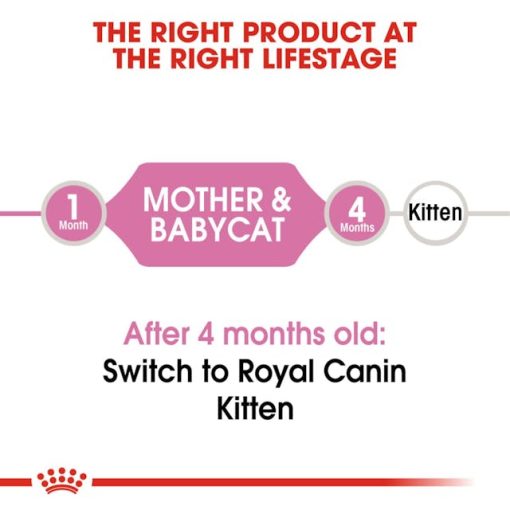Mother & Babycat Royal Canin dry cat food - Image 4