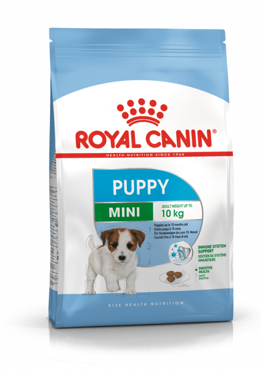 ערכה מיני פפי גזע קטן עד 10ק"ג Royal Canin
