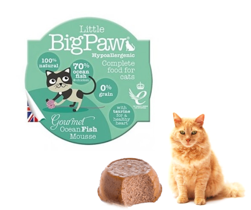 Little Big Paw Gourmet Atlantic Ocean Fish Mousse 85 gr